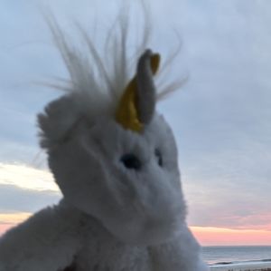 Meet your Posher, Jodie